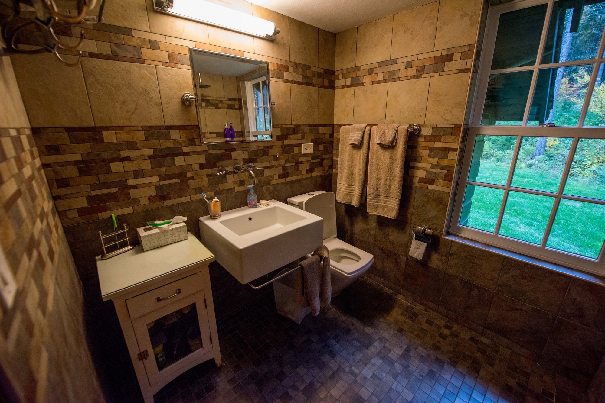 Snowshoe Cabin, photograph 11 of 12