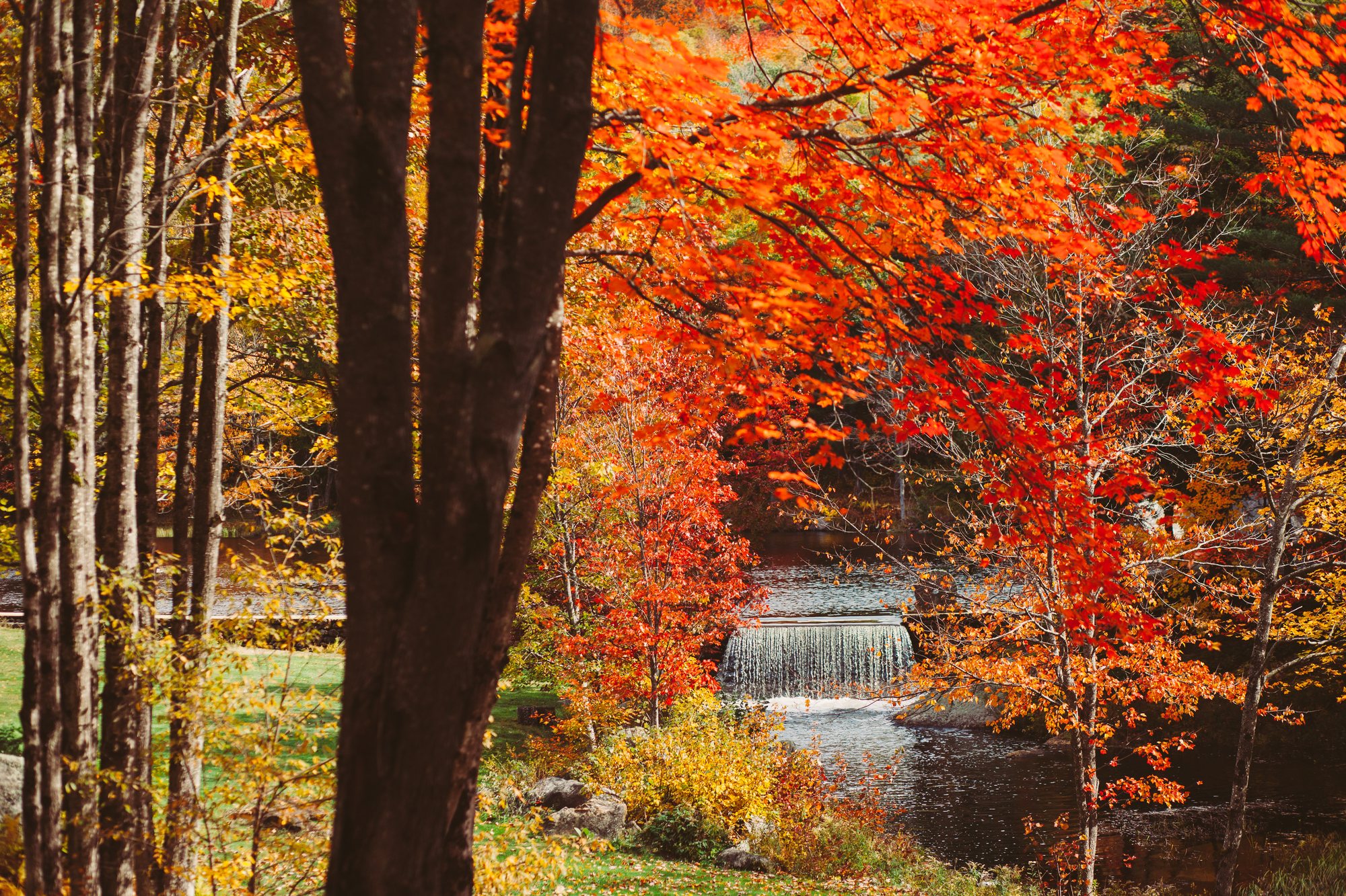 Otter Brook running through fall color below the falls