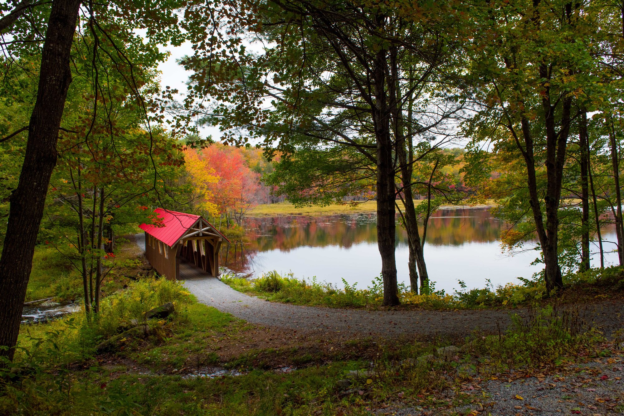 The path along the pond toward the covered bridge in fall