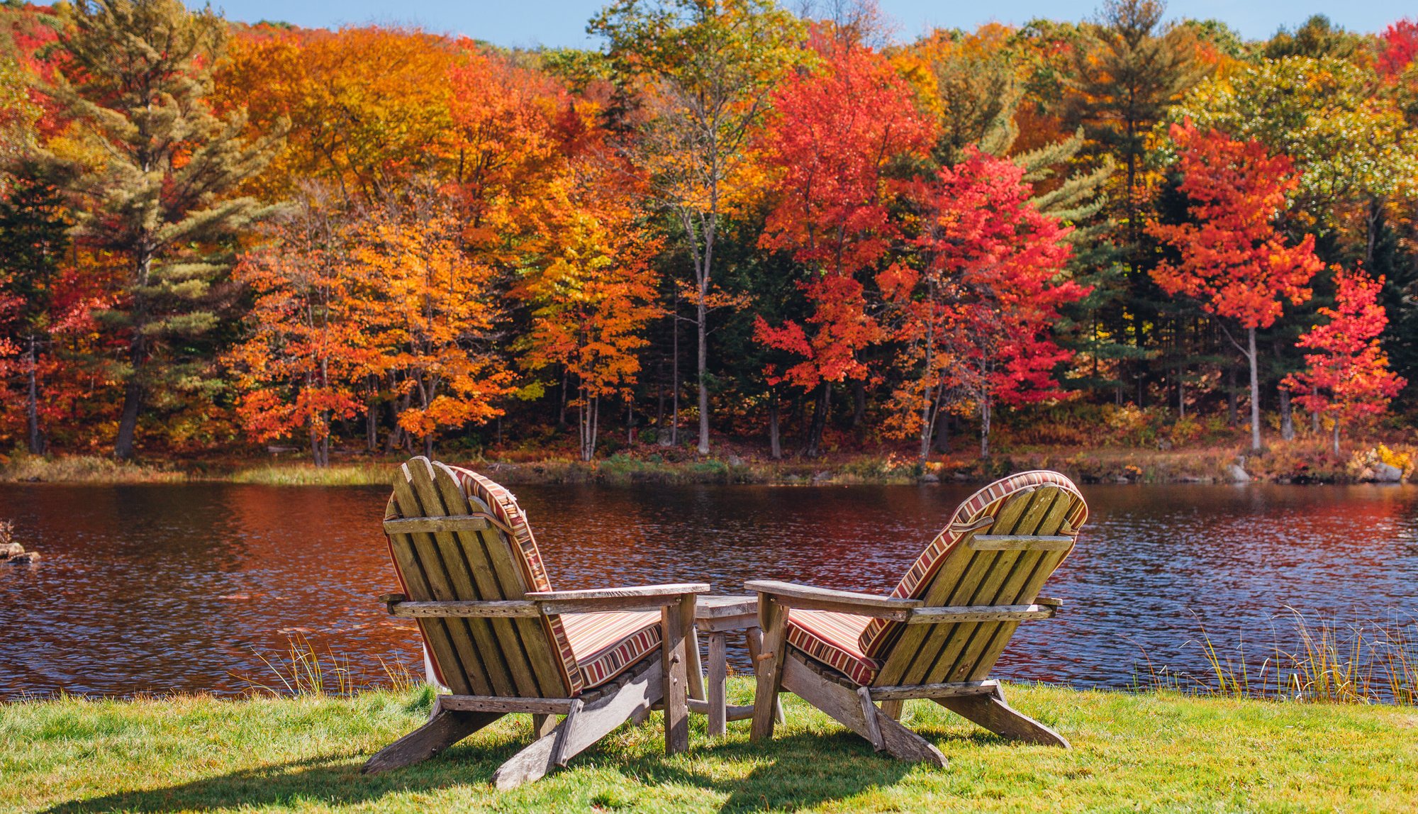 Two Adirondack chairs on the shore in peak fall color