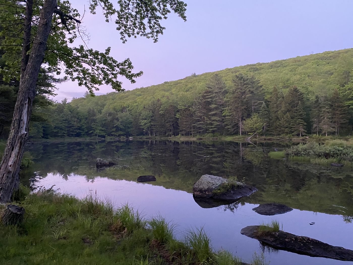 Woods Mill Pond still and blue in spring, the hills behind