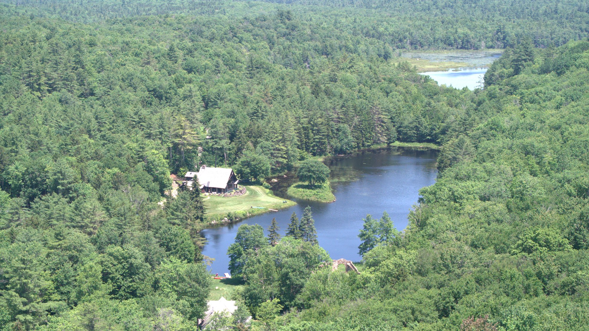 The pond and the forest beyond from the air
