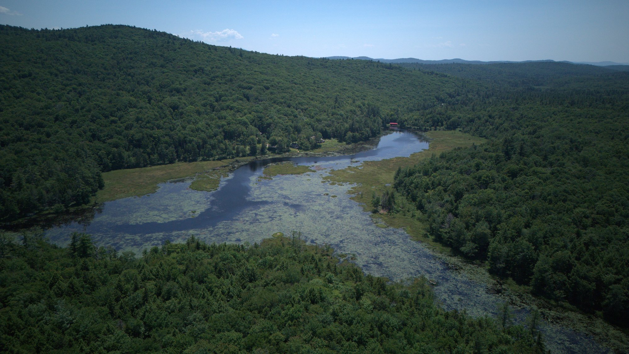 The marsh and the forested hills beyond, from above