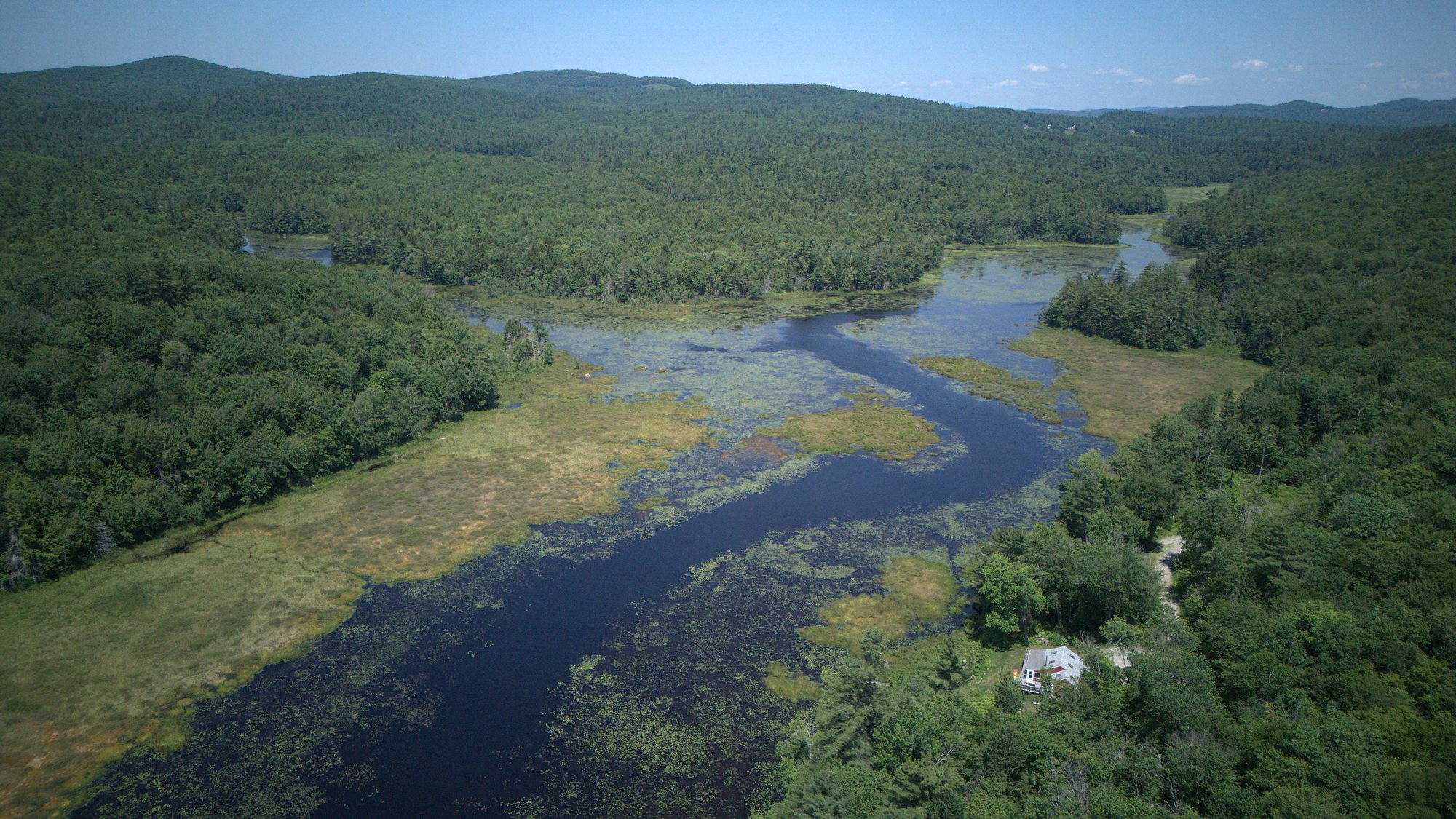 The marsh and its channels winding north from the pond, from the air