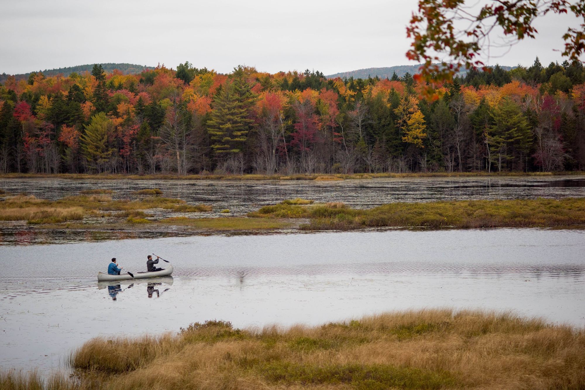 Two paddlers crossing the marsh in October