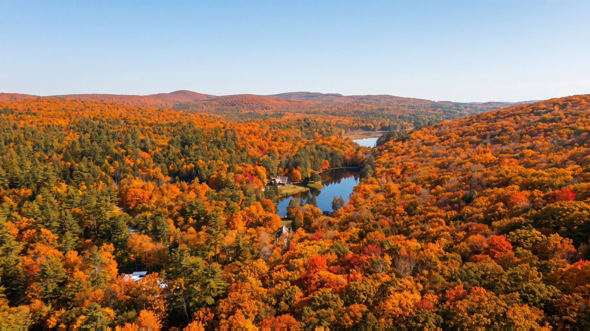 The same view in fall color, an illustration made from the summer photograph