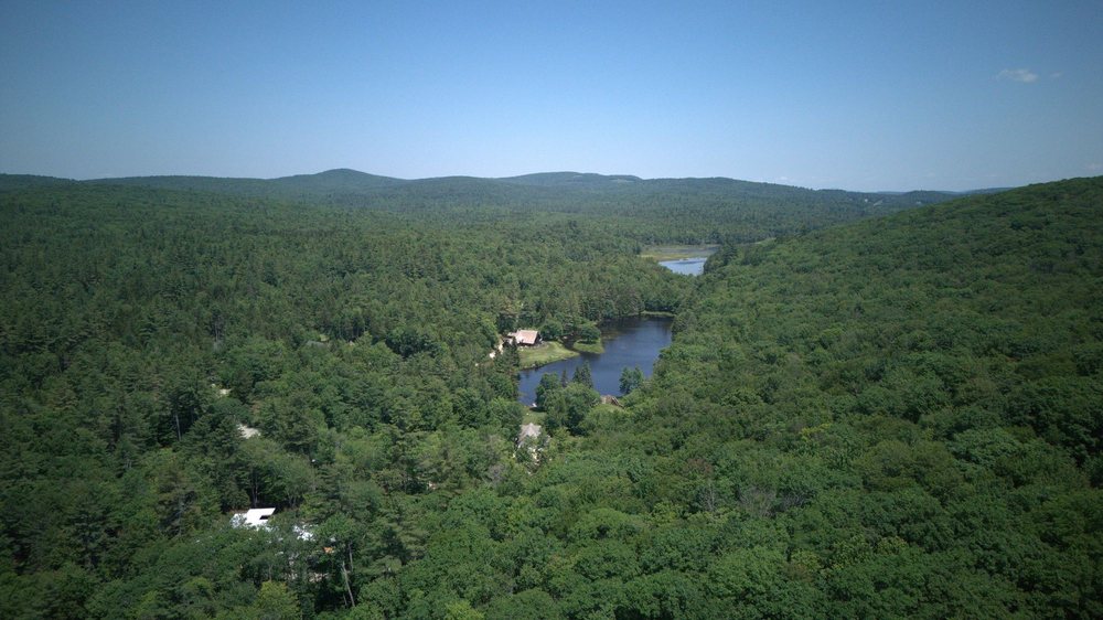 The estate from the air in summer