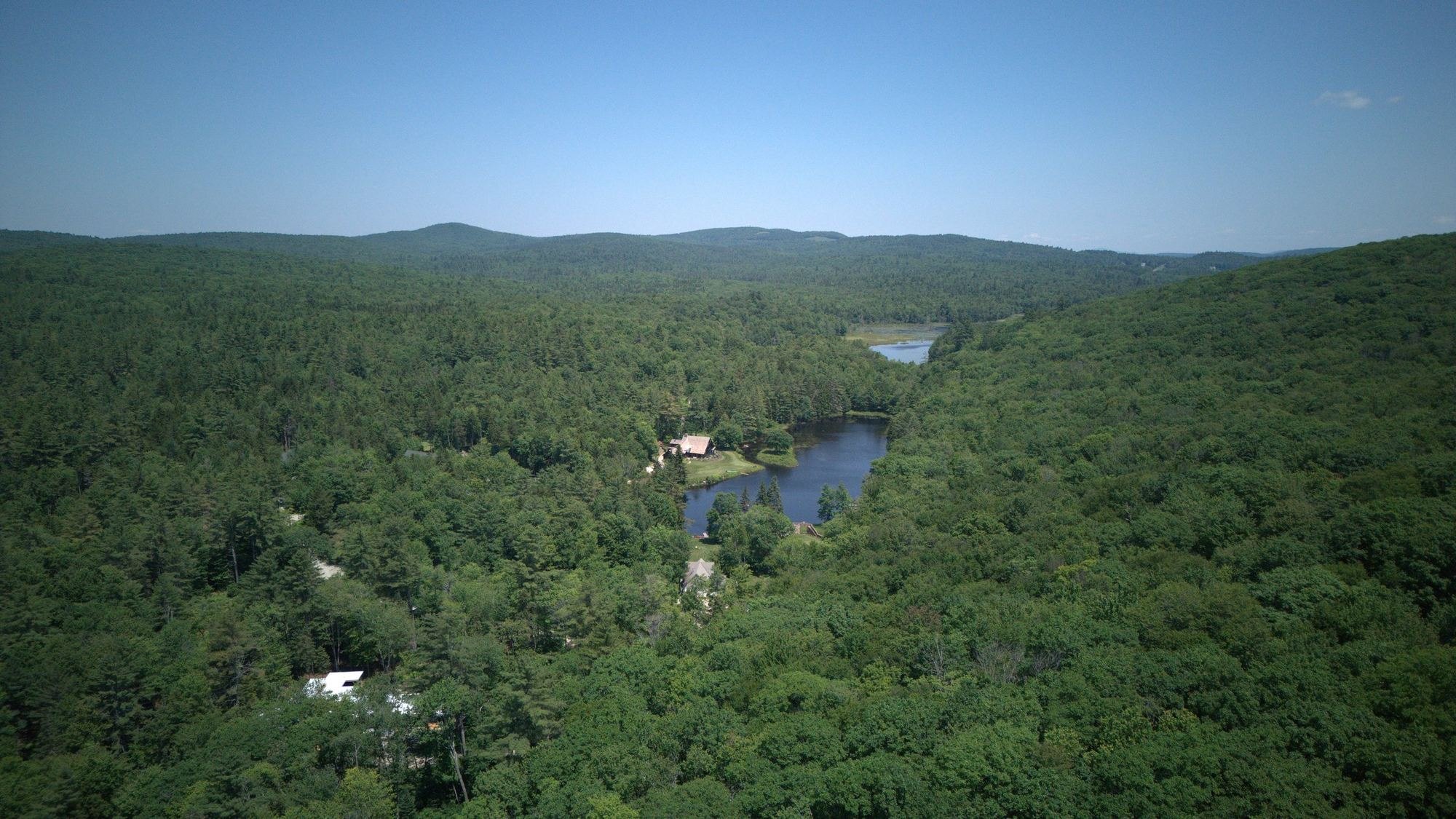 The estate from the air in summer, Woods Mill Pond among green forest