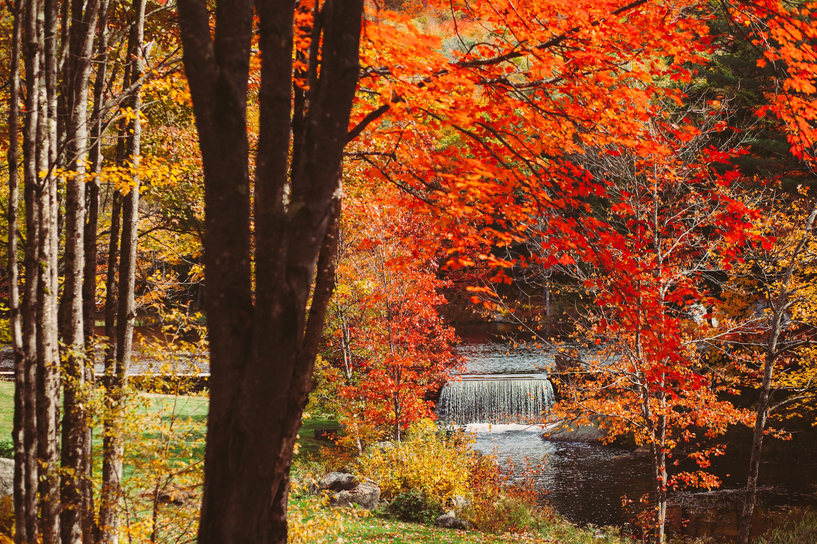 The waterfall in peak fall color